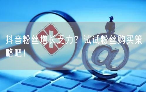 抖音粉丝增长乏力？试试粉丝购买策略吧！