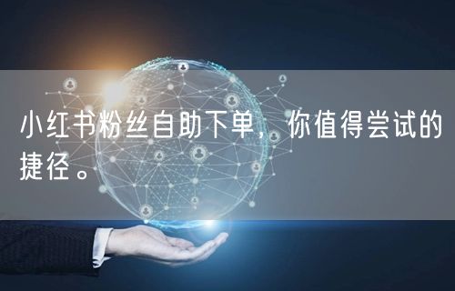小红书粉丝自助下单，你值得尝试的捷径。