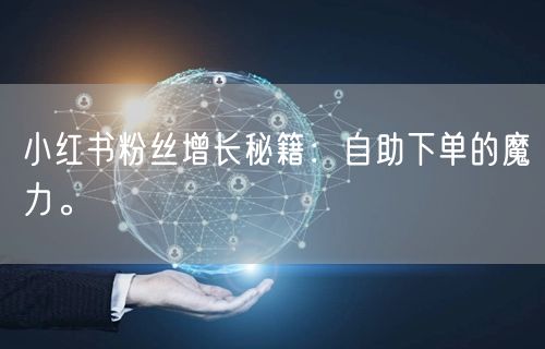 小红书粉丝增长秘籍：自助下单的魔力。