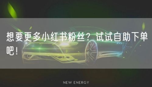 想要更多小红书粉丝？试试自助下单吧！
