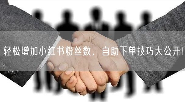 轻松增加小红书粉丝数，自助下单技巧大公开！