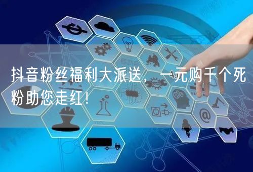 抖音粉丝福利大派送，一元购千个死粉助您走红！