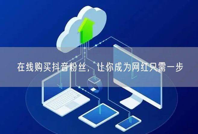 在线购买抖音粉丝，让你成为网红只需一步