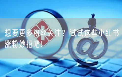 想要更多粉丝关注？试试这些小红书涨粉妙招吧！