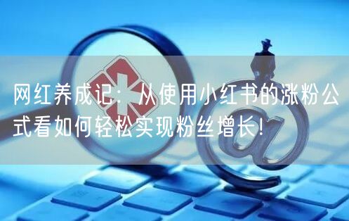 网红养成记：从使用小红书的涨粉公式看如何轻松实现粉丝增长！